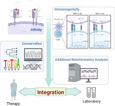 Corrigendum: Integration: gospel for immune bioinformatician on epitope-based therapy